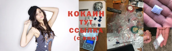 соль курить ск Алзамай