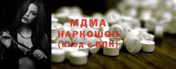 СК Алексин