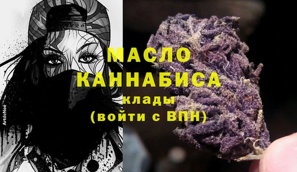 СК Алексин