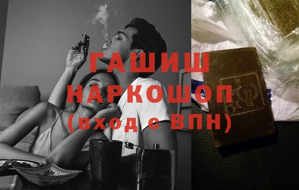 СК Алексин