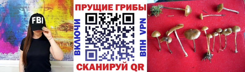 Галлюциногенные грибы мухоморы  закладки  Спасск-Рязанский 